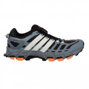 Men's Adistar Raven 3 Trail Shoes Grey