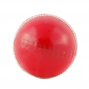 Cricket Nets Practice Ball Red