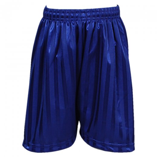 Bluemax Striped Sports Shorts Blue