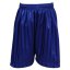 Striped Sports Shorts Blue