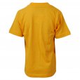 Bluemax Bolham Community Primary School T-Shirt Yellow