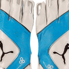 Wicket Keeping Gloves