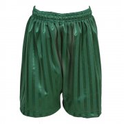 Dulverton Middle School Striped Sports Shorts Green 30"-36"