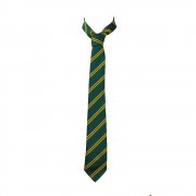 Dulverton Middle School Tie Green