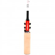 Oblivion E41 Players Senior Cricket Bat