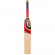 Instinct Cyclone Senior Cricket Bat