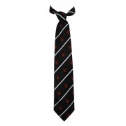 William Turner Minehead Barbarians Junior Tie Black