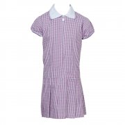 Minehead First School Summer Dress Purple/White