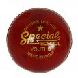 Special Schools Cricket Ball Red