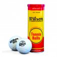 Anniversary 100 Years 3 Tennis Balls Can White