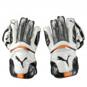 Bionic 4000 Wicket Keeper Gloves White