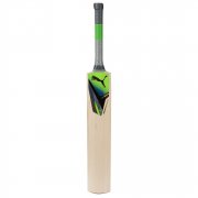 Chromium Power Junior Cricket Bat