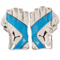 Puma evoPower 3 Wicket Keeper Gloves White & Blue