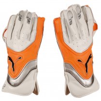 Puma Evospeed 2 Wicket Keeping Gloves Silver/Orange