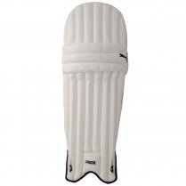 Puma evoSpeed 4 Twin Wings Batting Pads