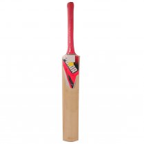 Puma evoSpeed 5 GT Force Junior Cricket Bat