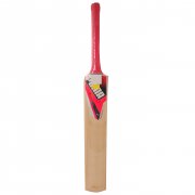 Puma evoSpeed 5 GT Force Junior Cricket Bat