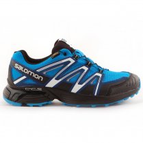 Salomon XT Hornet GTX Men's Trail Shoe Blue