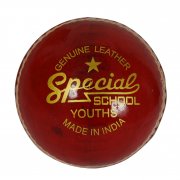 Readers Special Schools Cricket Ball Red