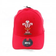 Under Armour Men's Blitzing WRU Cap Red